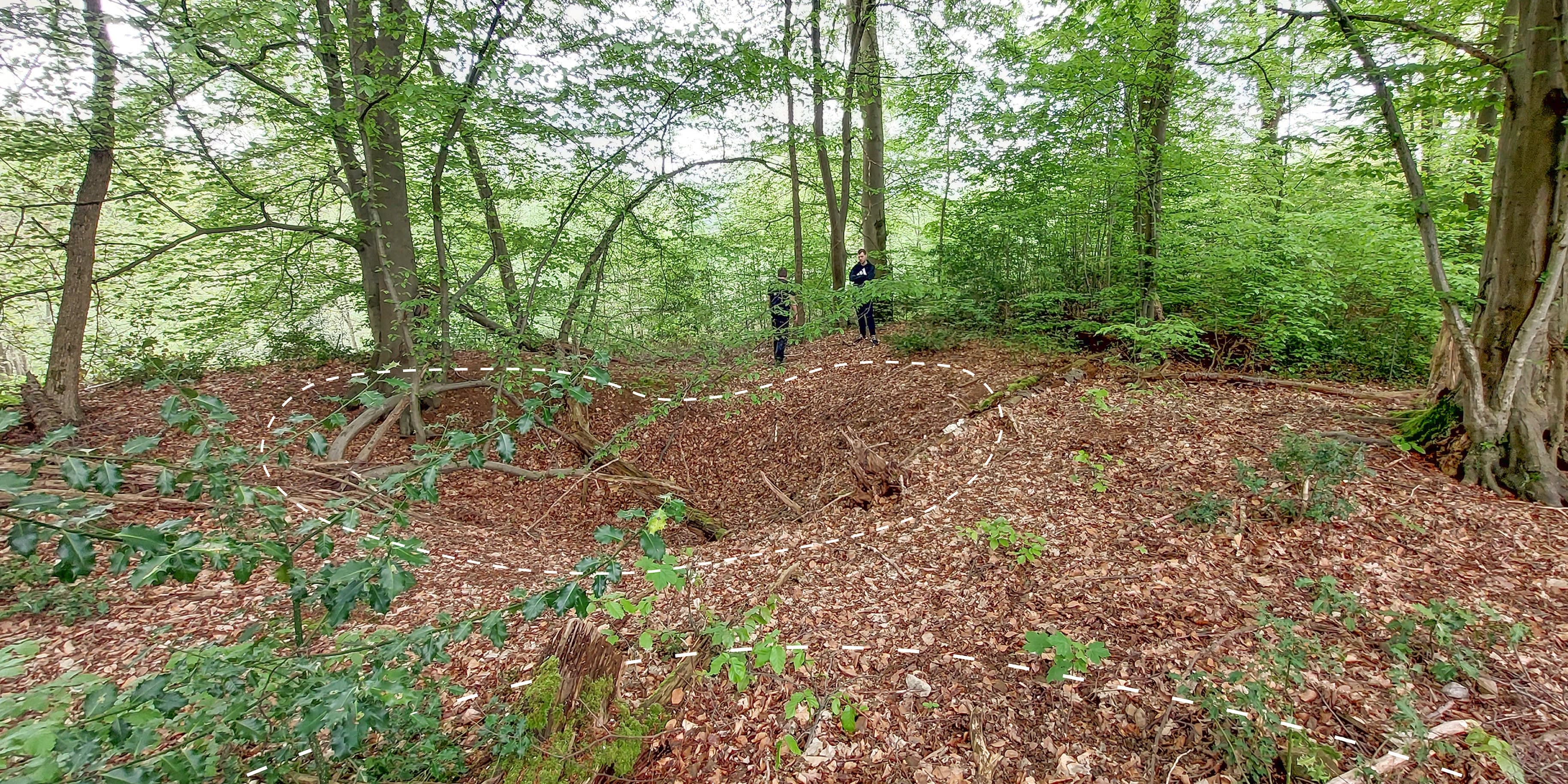 Pingenfeld